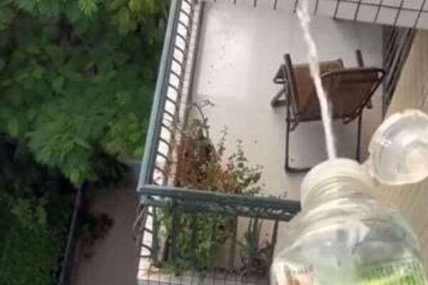 KOMŠIJE BILE NA ODMORU, A ONA JE KRIŠOM BACALA VODU SA SVOJE TERASE NA NJIHOVU: Ljudi na internetu ODUŠEVLJENI