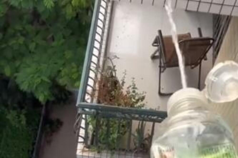 KOMŠIJE BILE NA ODMORU, A ONA JE KRIŠOM BACALA VODU SA SVOJE TERASE NA NJIHOVU: Ljudi na internetu ODUŠEVLJENI