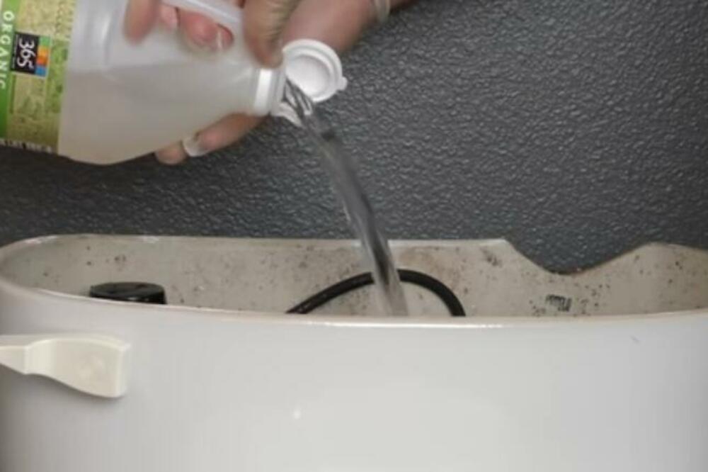 SIPAO JE SIRĆE U VODOKOTLIĆ PRED SPAVANJE, A UJUTRU SE ŠOKIRAO REZULTATOM: Niste ni znali kakve GADOSTI tu gajite