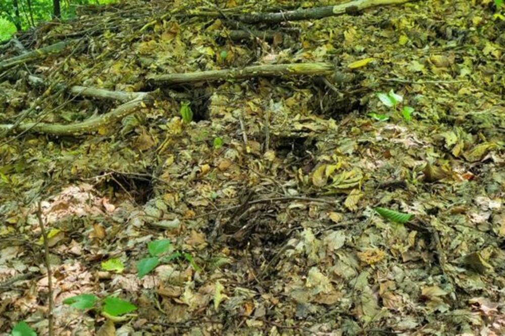 ŽITELJI SELA KRAJ ARILJA U OGROMNOM STRAHU OD ZVERI: Ugledali tragove OPASNE GRDOSIJE, hvata ih PANIKA (FOTO)