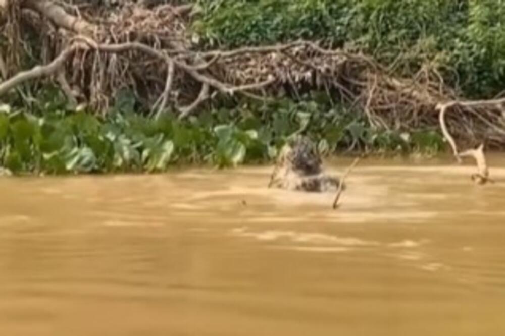 FUDBALER OTIŠAO DA SE KUPA U RECI, PA DOŽIVEO TRAGIČNU SUDBINU: Ono što mu se desilo je STRAVIČNO (FOTO)