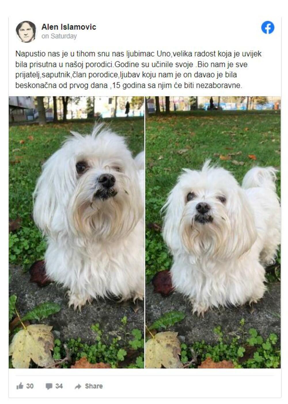 Alenu Islamoviću uginuo pas