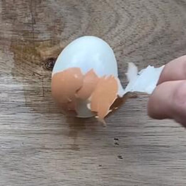 Da li je bezbedno pojesti napuklo jaje? Evo šta treba da znate i šta nikada ne smete uraditi ako vidite liniju