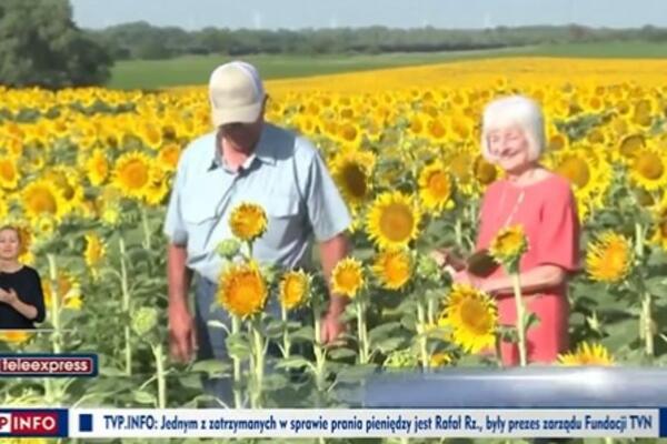POSADIO PREKO MILION SUNCOKTERA DA BI OSVOJIO NJENO SRCE: Njihova ljubavna priča topi i najtvrđa srca (VIDEO)