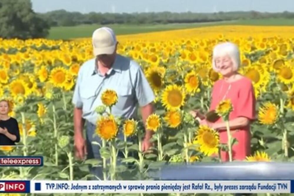 POSADIO PREKO MILION SUNCOKTERA DA BI OSVOJIO NJENO SRCE: Njihova ljubavna priča topi i najtvrđa srca (VIDEO)