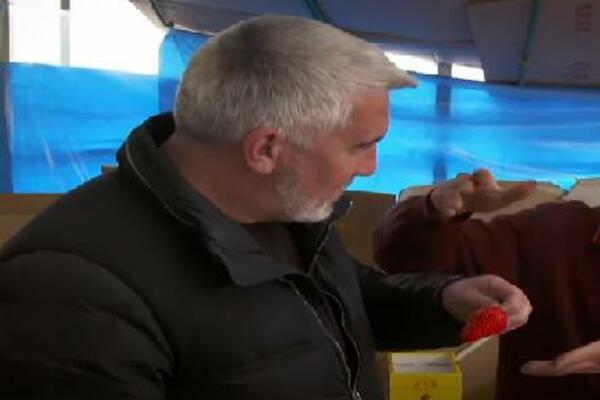 JAPANAC POKAZAO KAKVE JAGODE UZGAJA, SRBI PALI U NEVERICU: Ovakvu veličinu niste viđali na pijaci (VIDEO)