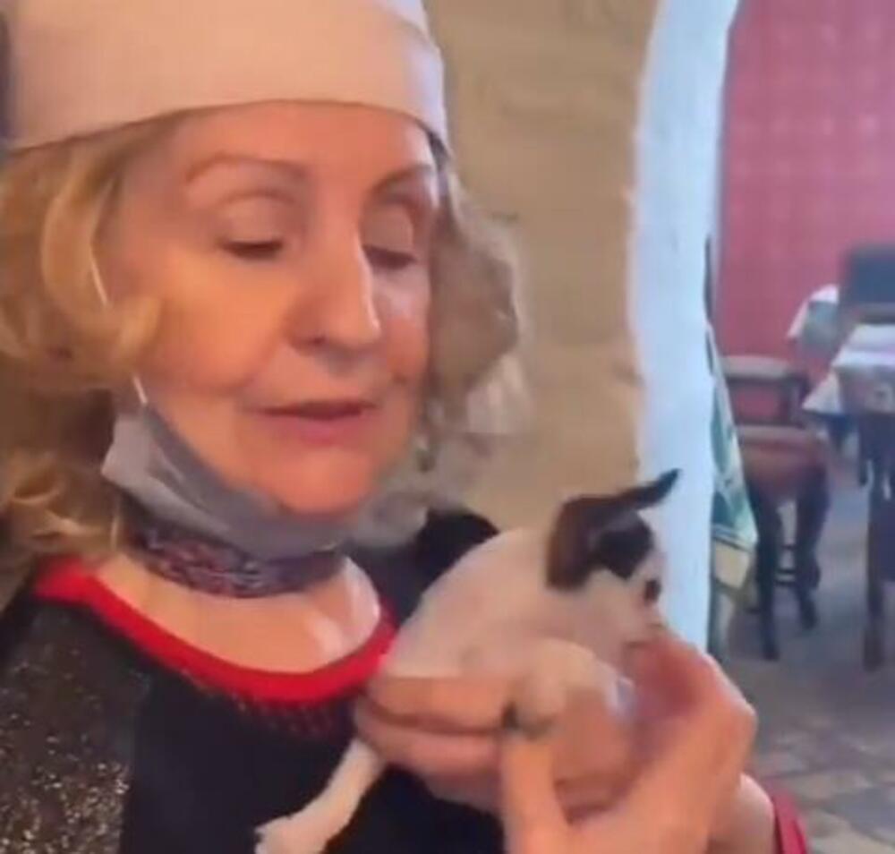 Lepu Lukić ujeo pas