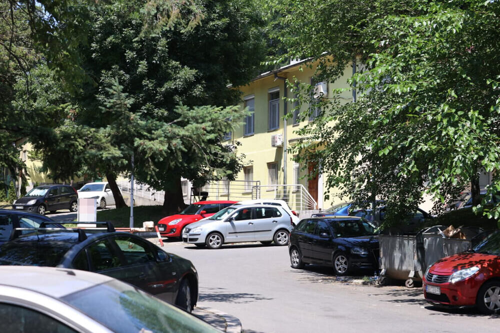 Dečak ubica, Kosta Kecmanović