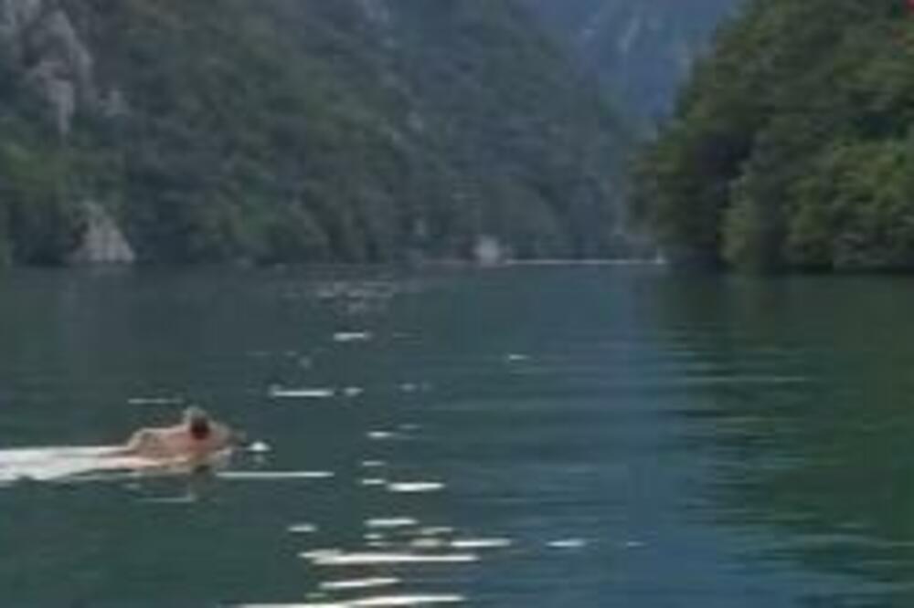 MRKI MEDA PREPLIVAVA DRINU: Kupači nisu mogli da veruju šta vide, GLEDAJTE GA SAMO (VIDEO)