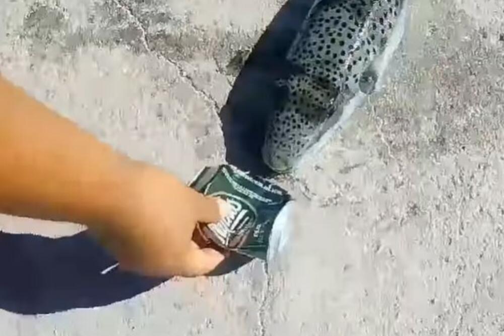 OTROVNA RIBA POJAVILA SE DUŽ OBALE KRITA: Turisti u panici, njen ujed KIDA MESO!