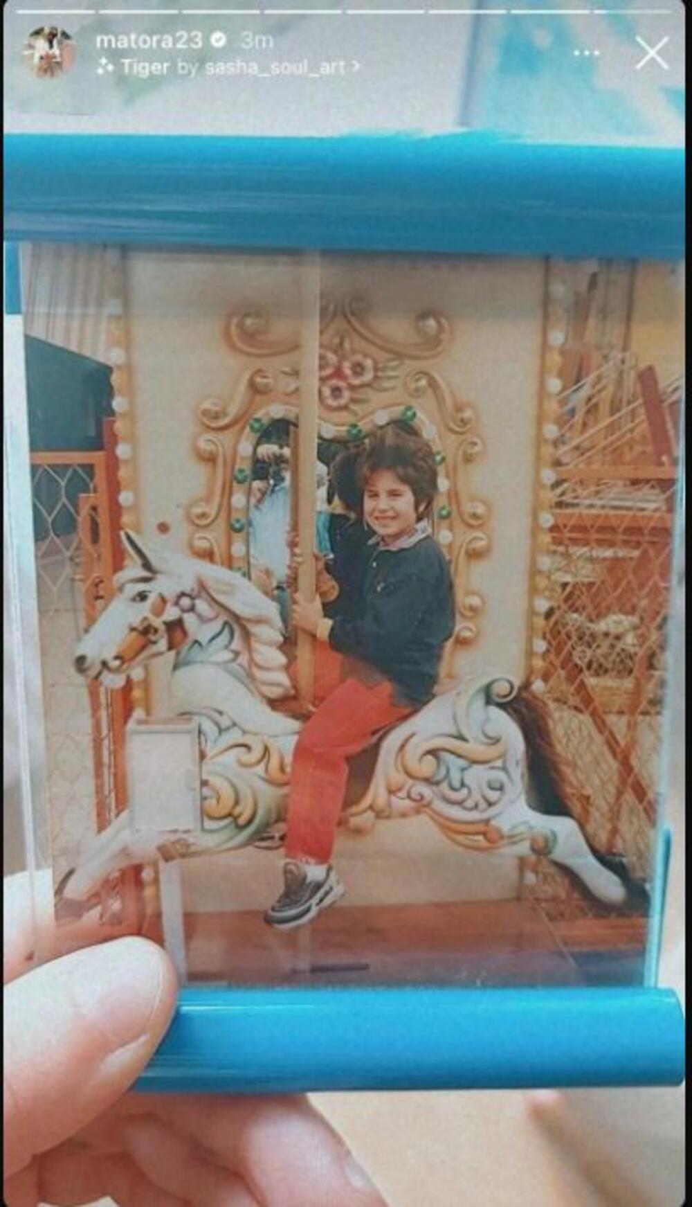 Objava Jovane Tomić Matore