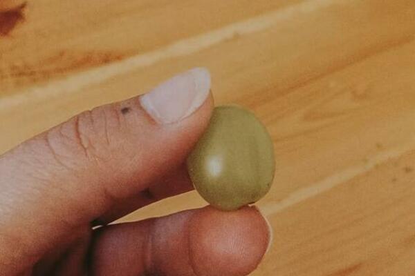 ZBOG VOĆA KOJE SVI DAJEMO DECI, NJENA ĆERKA SE UMALO UGUŠILA: "Pomodrela je, a onda je PROLETELO preko sobe" (FOTO)