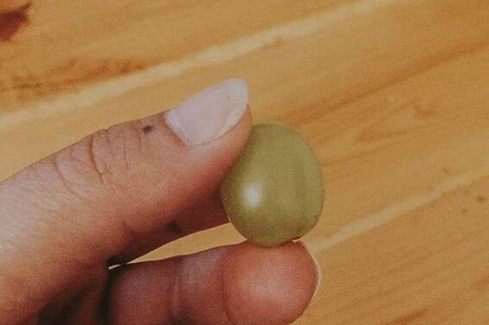 ZBOG VOĆA KOJE SVI DAJEMO DECI, NJENA ĆERKA SE UMALO UGUŠILA: "Pomodrela je, a onda je PROLETELO preko sobe" (FOTO)