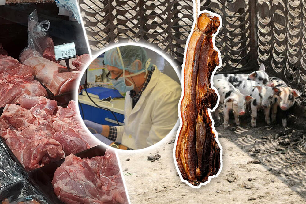 MOŽE SE PRENETI MESOM: Kroz razgovor sa stručnjakom okrivamo koliko je AFRIČKA KUGA opasna po ZDRAVLJE LJUDI