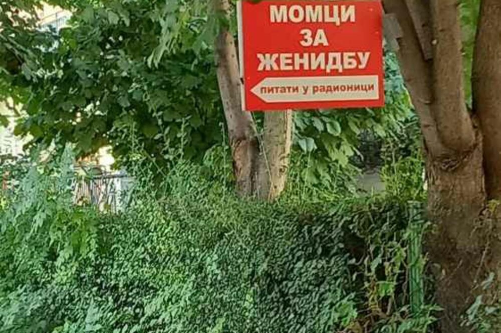 SAD CEO BEOGRAD ZNA GDE SU MOMCI ZA ŽENIDBU: Osvanuo hit oglas, devojke, IZVOLITE! (FOTO)