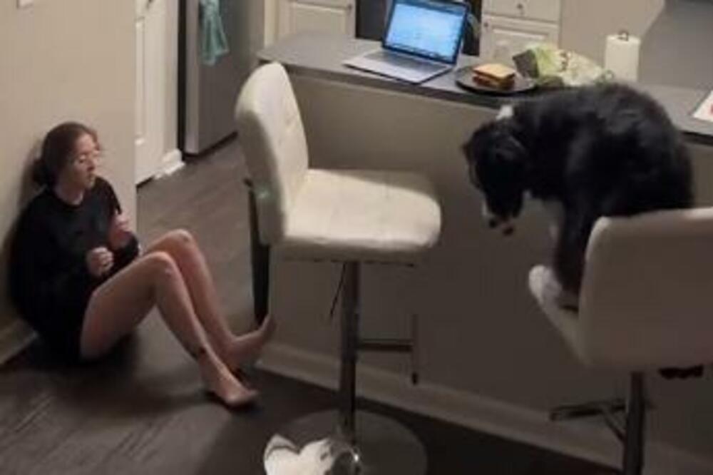 POGLEDATE KAKO PAS SPAŠAVA ŽIVOT VLASNICI: Snimak se munjevito deli, POSTUPIO JE BOLJE NEGO ČOVEK (VIDEO)