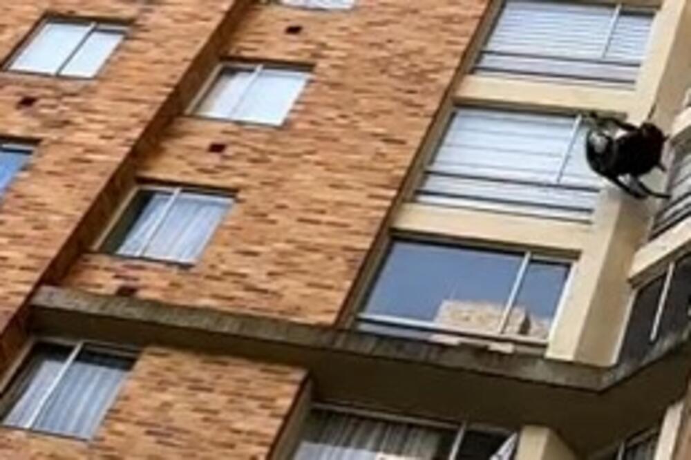 KADA JE ČULA DA JE MUŽ VARA, PAO JOJ MRAK NA OČI: Napravila je haos, bacala stvari iz stana, POGLEDAJTE SAMO!