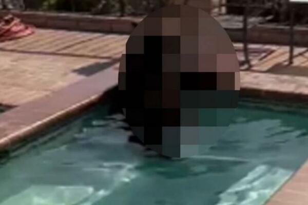 DIJANA JE ČULA BUKU I PROVIRILA KROZ NAPOLJE: Kad je TO videla u bazenu ZALEDILA SE, šta biste VI URADILI? (VIDEO)