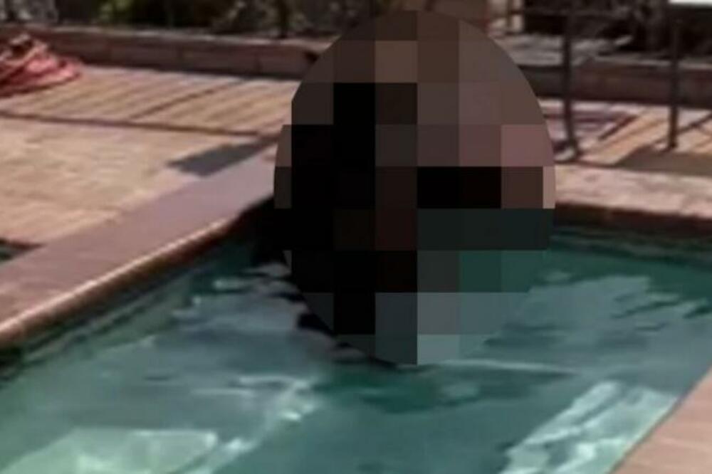DIJANA JE ČULA BUKU I PROVIRILA KROZ NAPOLJE: Kad je TO videla u bazenu ZALEDILA SE, šta biste VI URADILI? (VIDEO)