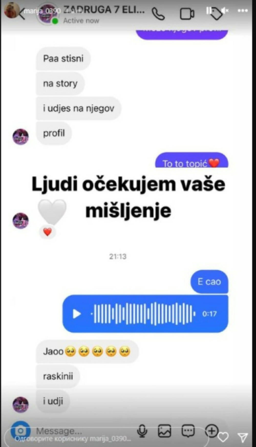 Objava Ane Marije Pavlović