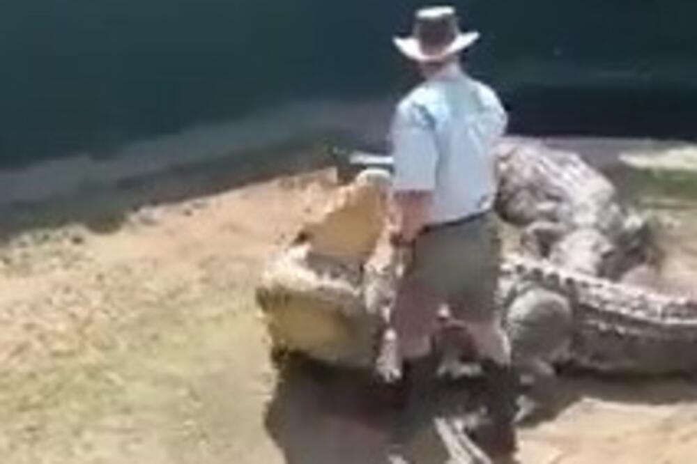 UŽAS U NACIONALNOM PARKU: Čuvar zajahao KROKODILA, a onda je USLEDIO STRAŠAN NAPAD, SVE JE SNIMLJENO KAMEROM