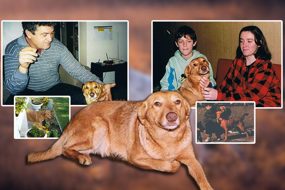 PRESLATKA DENA NAKON OLUJE PRONAŠLA SVOJE VLASNIKE: Priča izbeglice Tatjane KIDA DUŠU (FOTO)