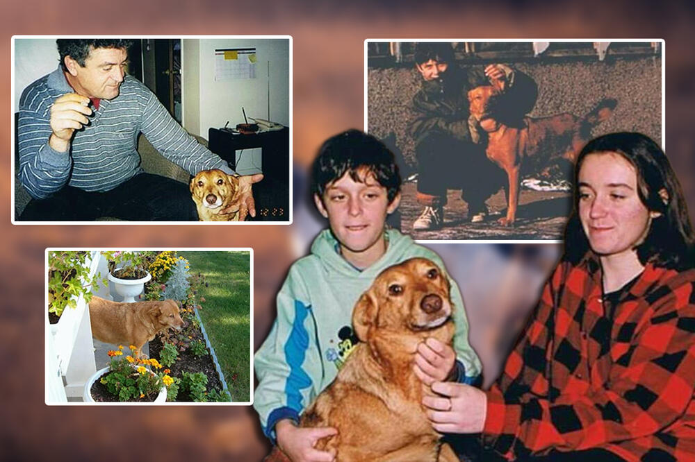 "VIŠE NIJE BILO BITNO ŠTO SMO IZBEGLICE" Ženka posle Oluje prešla 500 KM i našla svoje: "DONELA JE MIRIS ZAVIČAJA"