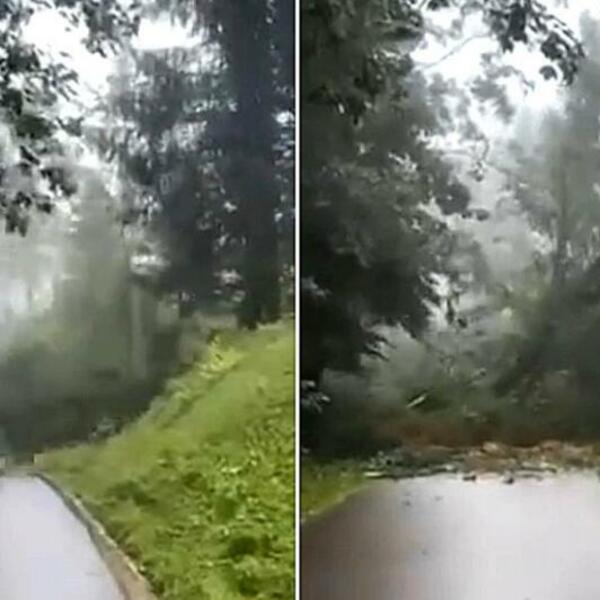 NEVREME UNIŠTILO DEO ŠUME: Stravičan snimak iz Slovenije, čovek JEDVA SPASAO ŽIVU GLAVU! (VIDEO)