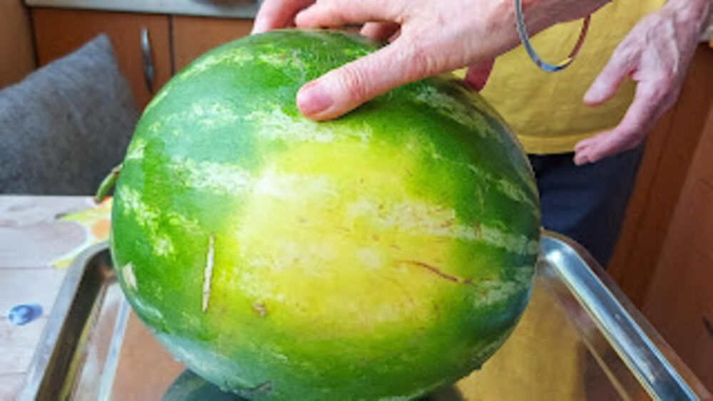 Ako ste primetili mrlju na površini lubenice, to je dobar znak