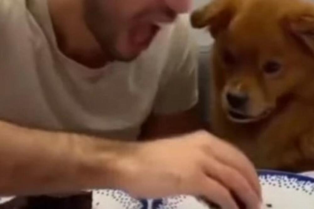 PLAKAĆETE OD SMEHA KADA VIDITE ŠTA JE URADIO OVAJ PAS: I to pred VLASNIKOM, urnebesno (VIDEO)