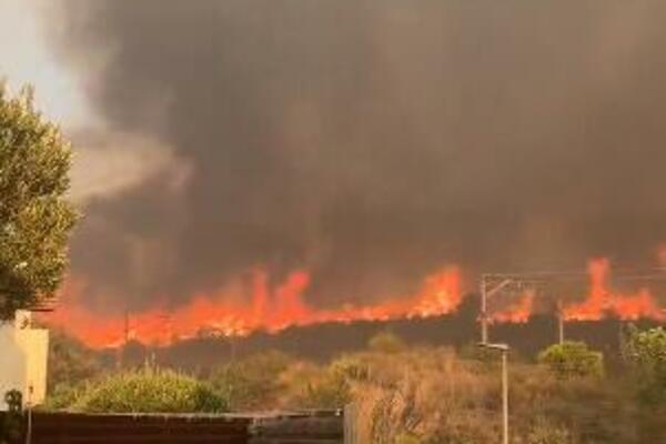OGROMNI POŽARI ZAHVATILI SU PORTUGAL! Zabeleženo je REKORDNIH 47 STEPENI, evakuisano 1400 ljudi, VATRA BESNI! VIDEO
