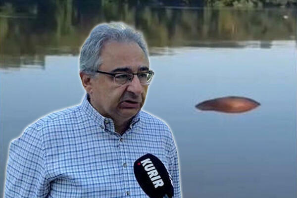 MRTVE SVINJE PLUTAJU REKOM USRED AFRIČKE KUGE: Inspekcija izdala hitan APEL stočarima! (VIDEO)