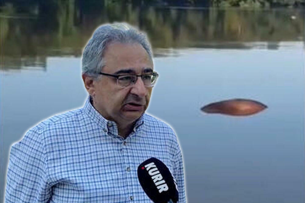 MRTVE SVINJE PLUTAJU REKOM USRED AFRIČKE KUGE: Inspekcija izdala hitan APEL stočarima! (VIDEO)