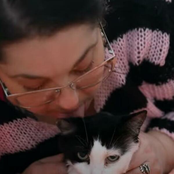 OD OVOG MOŽE DA SE POVRATI, FUJČINA: Ova žena sa svojim MAČKAMA radi VRLO ŠOKANTNU STVAR (VIDEO)