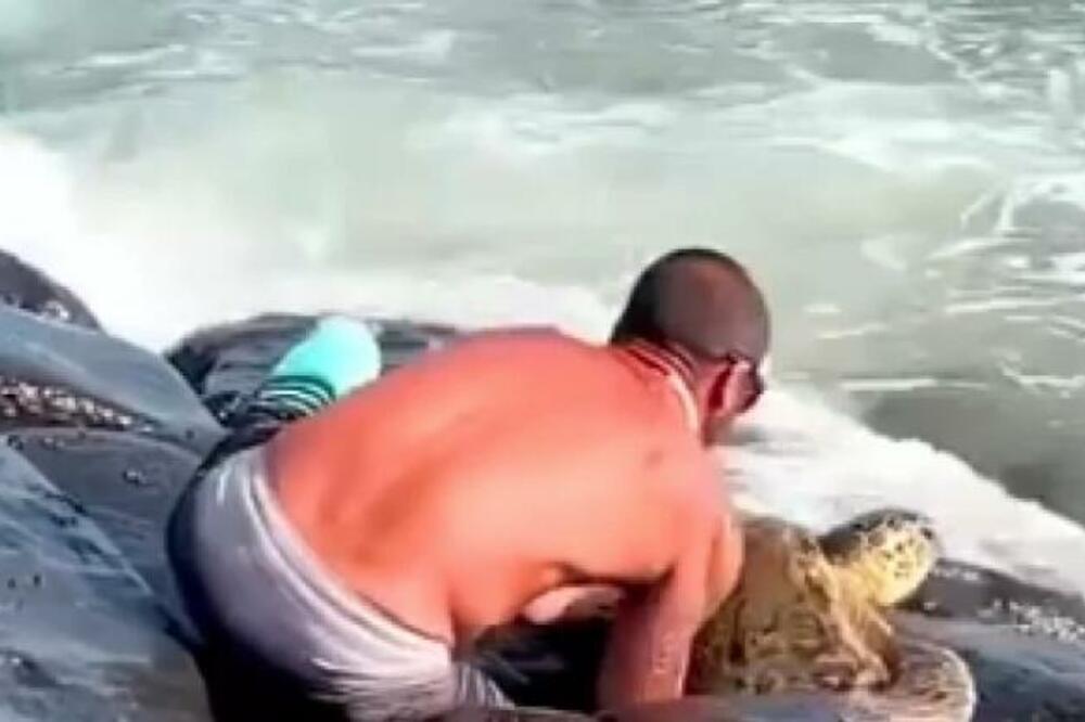 VIDEO DA SE NEŠTO POMERA IZMEĐU DVE STENE PA JE PRIŠAO BLIŽE: Čim je zasukao rukave usledila je ŽESTOKA BORBA VIDEO