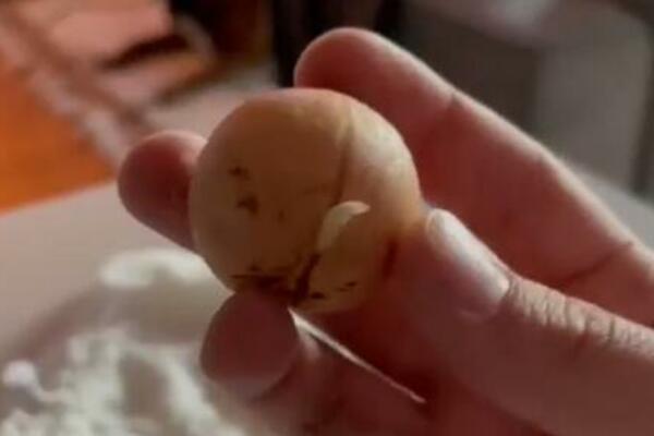 SVE DOMAĆICE ŽELE OVU BILJKU U SVOM DOMU, A NEMA DA SE KUPI: Evo kako da je ZASADITE, raste za 2 NEDELJE