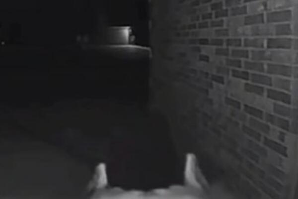 NEKO JOJ JE POZVONIO NA VRATA U 4 UJUTRU: Kada je otvorila vrata NIJE MOGLA da veruje da je OVO MOGUĆE (VIDEO)