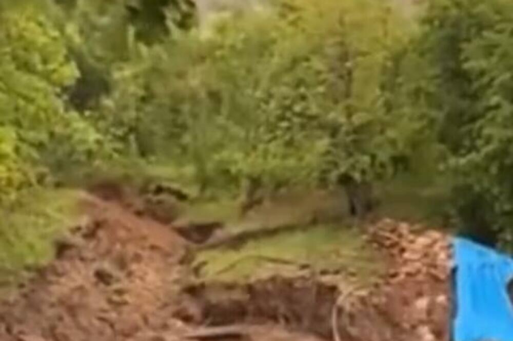 NAIZGLED MIRAN DAN ZA KAMPOVANJE SE PRETVORIO U HOROR: Šuma se BUKVALNO POMERALA, jeziv fenomen (VIDEO)