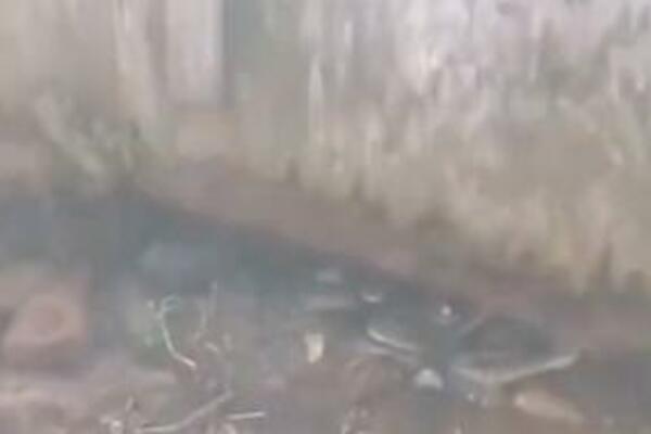 ODLUČILI SU DA POMERE KONTEJNER, A ONDA SU VIDELI ŠTA SE ZAKAČILO ZA NJEGA: Nisu mogli da ih PREBROJE, gledajte OVO