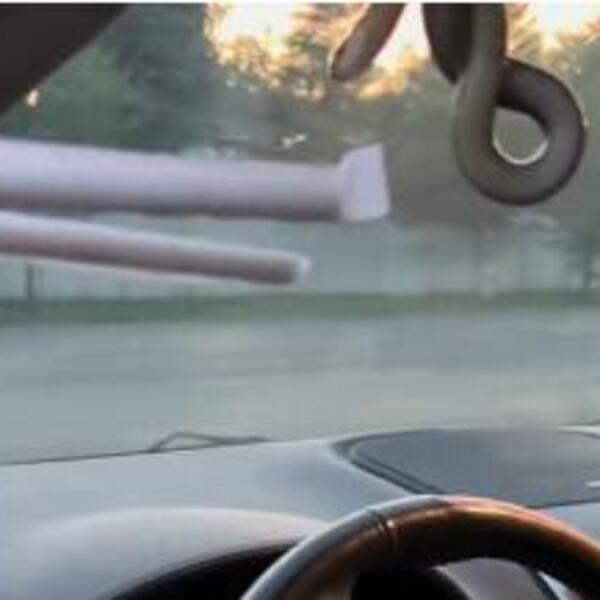 PANIČNO JE ZGRABILA KAMERU I PLAČNIM GLASOM SNIMILA ŠTA JOJ SE DEŠAVA: Zmija je VISILA tačno iznad VOLANA, VIDEO