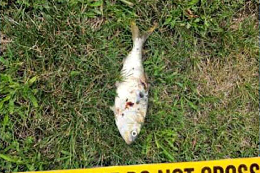 ZBOG OVOG ŠTO JE PALO SA NEBA, U GRADU NASTAO NEVIĐENI KOLAPS: Još LUĐA stvar se desila u nastavku (FOTO)