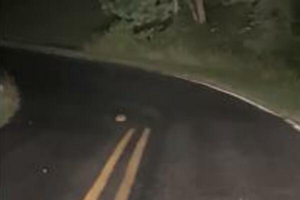 NA PUTU JE VIDEO NEŠTO ČUDNO I ZASTAO JE: Zaustavio je AUTOMOBIL, ono što je usledilo RAZBESNELO je JAVNOST (VIDEO)