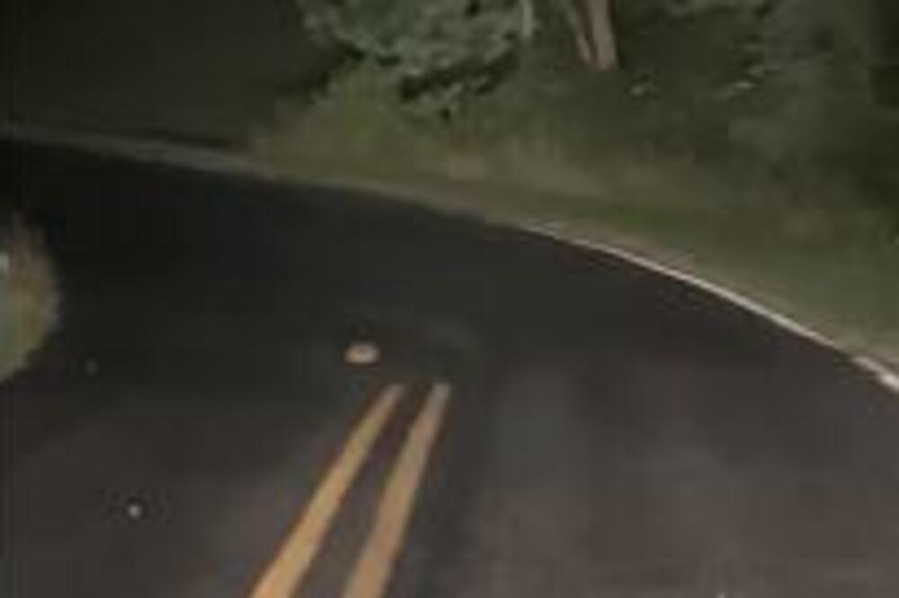 NA PUTU JE VIDEO NEŠTO ČUDNO I ZASTAO JE: Zaustavio je AUTOMOBIL, ono što je usledilo RAZBESNELO je JAVNOST (VIDEO)