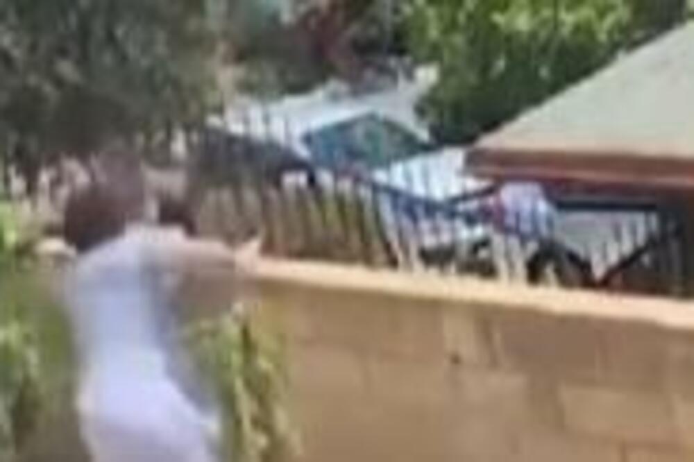 ČULA JE DA SE NEŠTO DEŠAVA U DVORIŠTU, PA JE ISTRČALA U SPAVAĆICI: Usledila je borba sa MEDVEDICOM, gledajte OVO