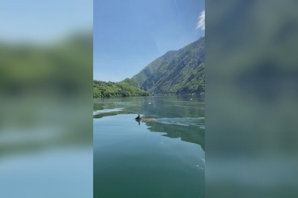 U POTRAZI ZA ŽENKOM U SUSEDNOJ BOSNI PREPLIVAO JEZERO! Neverovatan prizor usnimljen na Perućcu (FOTO)