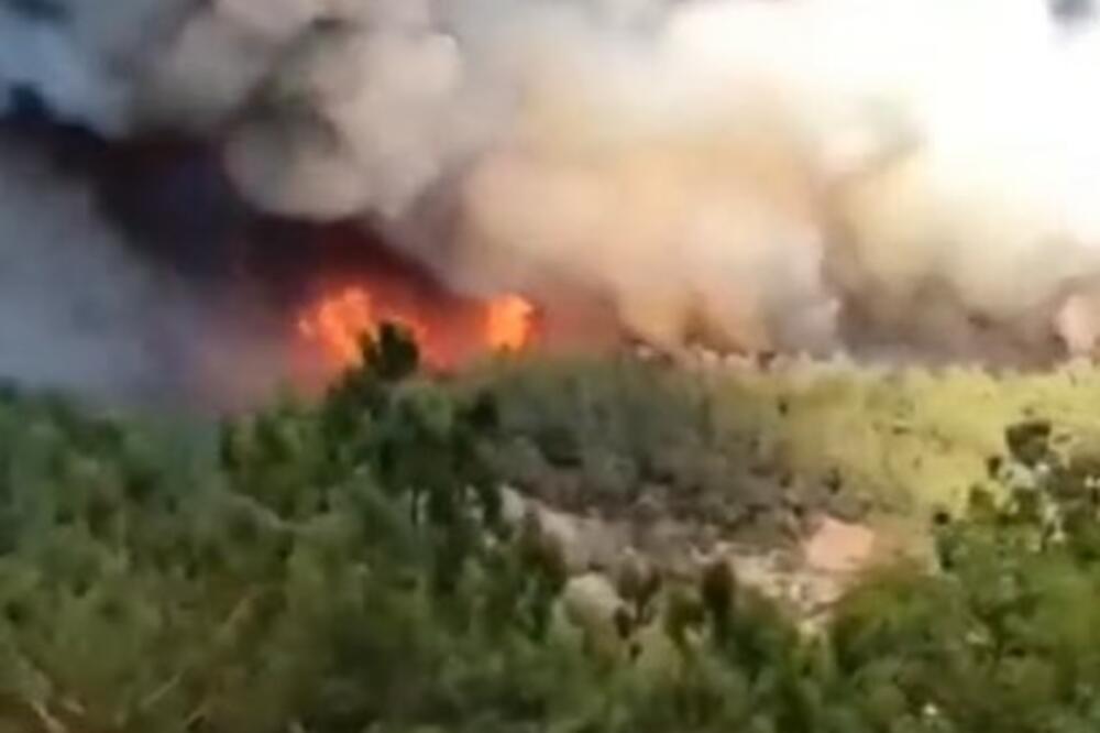 STRAVA I UŽAS U GRČKOJ! U šumi nađeno 18 ugljenisanih tela