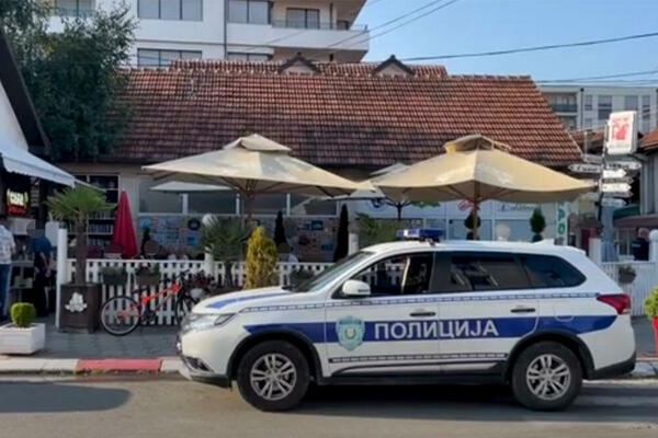 HAPŠENJE U NEGOTINU: Pretio POLICIJI i UZNEMIRAVAO goste KAFIĆA!