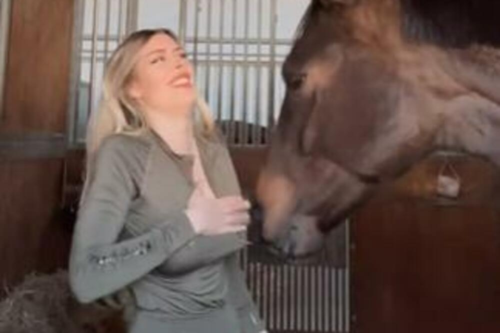 ONO ŠTO JE OVAJ KONJ URADIO JAHAČICI JE ČISTA PERVERZIJA: Igrao se sa GRUDIMA kao loptama, odmah IZLETELE napolje