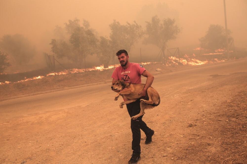 PALA PRESUDA ZA NAJSMRTONOSNIJI POŽAR U GRČKOJ: Porodice žrtava OGORČENE, sudnicom se prolomio KRIK (VIDEO)