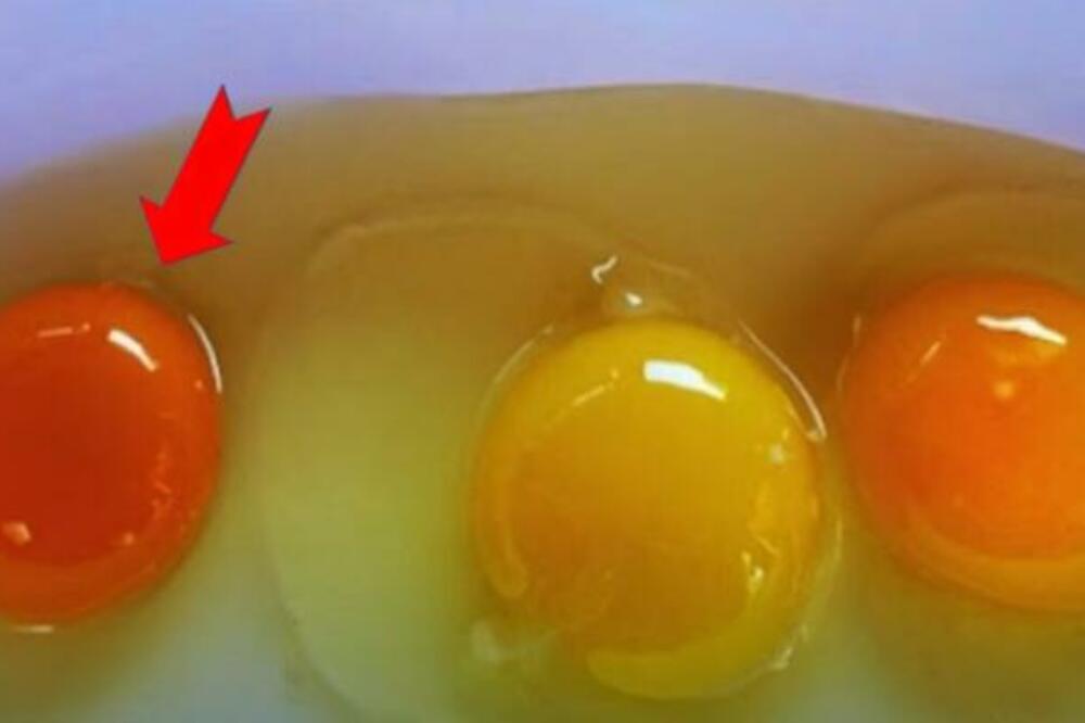 KOJE JAJE SA SLIKE JE NAJZDRAVIJE? Odgovor daje BOJA ŽUMANCETA, niko ne uspeva POGODITI IZ PRVE (VIDEO)